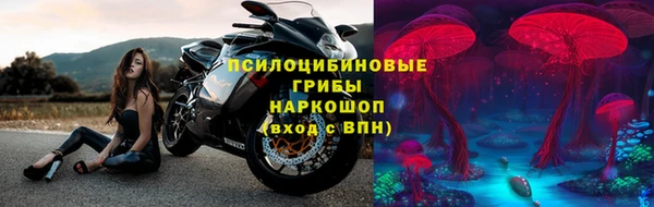 МДПВ Абаза