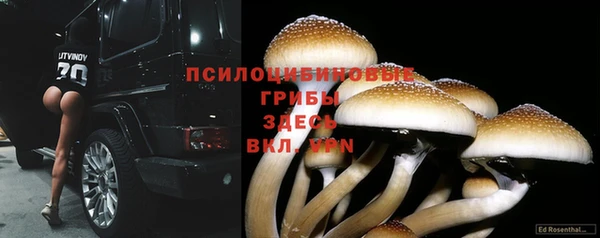 мет Нязепетровск