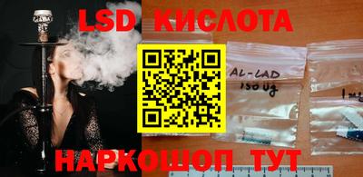 молекула духа Камышлов