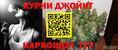 молекула духа Камышлов